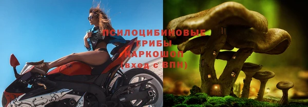 гашишное масло Аркадак