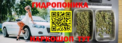 гидра Апшеронск