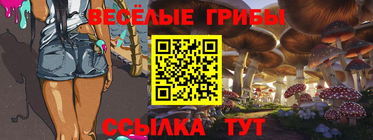 Галлюциногенные грибы Magic Shrooms Баксан