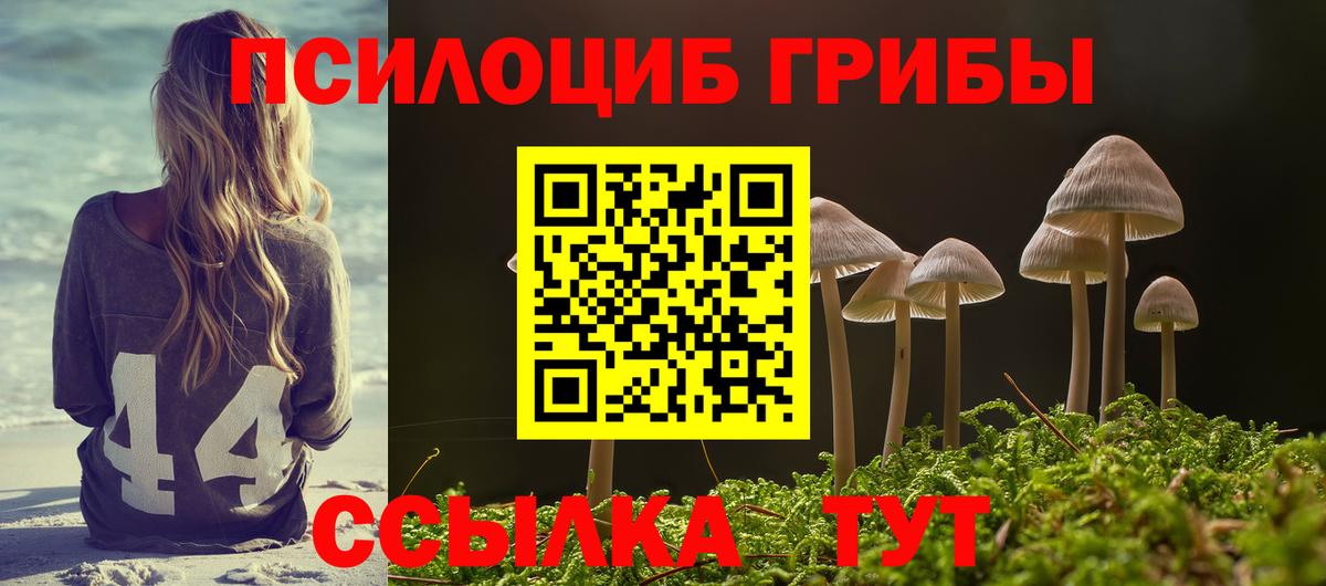 Баксан  Псилоцибиновые грибы MAGIC MUSHROOMS  Вход с VPN  Псилоцибиновые грибы Cubensis 